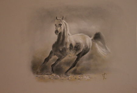 cheval