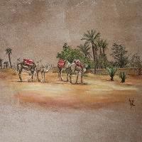 maroc